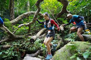 BIB: 
                            <button type="button" onclick="openModal(19407844)" class="btn btn-primary btn-sm float-right btn-popup" data-toggle="modal" data-target=".modal-high-quality">
                        <i class="fas fa-shopping-cart"></i> Add to Cart
                    </button>
                                            <button type="button" onclick="isThisMe(19407844, true)" class="btn btn-success btn-sm float-right btn-popup btn-isme hidden" data-toggle="tooltip" data-placement="bottom" title="นี่คือรูปของคุณใช่ไหม คลิกที่นี่เพื่อเอาเข้าอัลบั้ม">
                        <i class="fas fa-plus"></i> Add to album
                    </button>
                    <button type="button" onclick="isThisMe(19407844, false)" class="btn btn-warning btn-sm float-right btn-popup btn-isnotme hidden">
                        <i class="fas fa-ban"></i> Remove from album
                    </button>